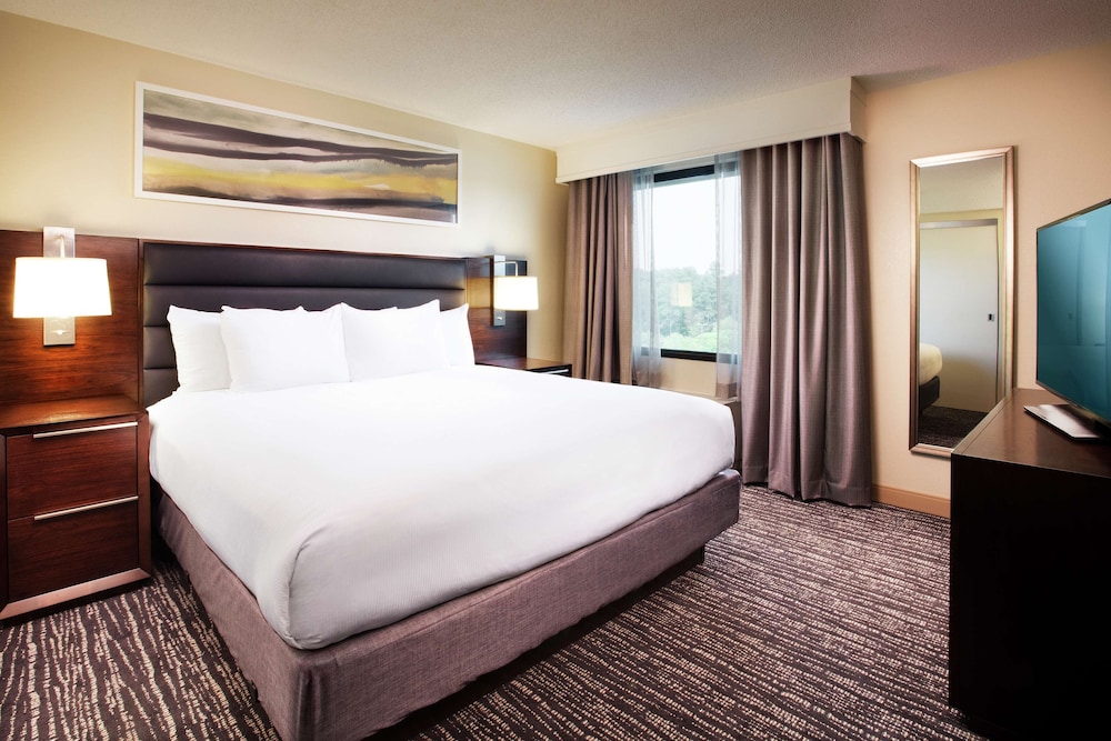 Room, 1 King Bed