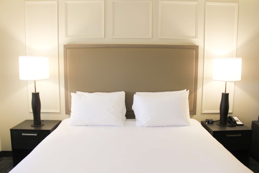 Standard Room, 1 King Bed, Non Smoking, Kitchenette (Dining Table;with Sofabed) - Photo 4