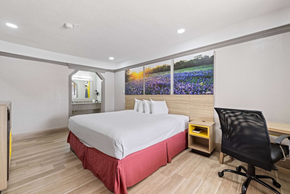 Room, 1 King Bed, Smoking