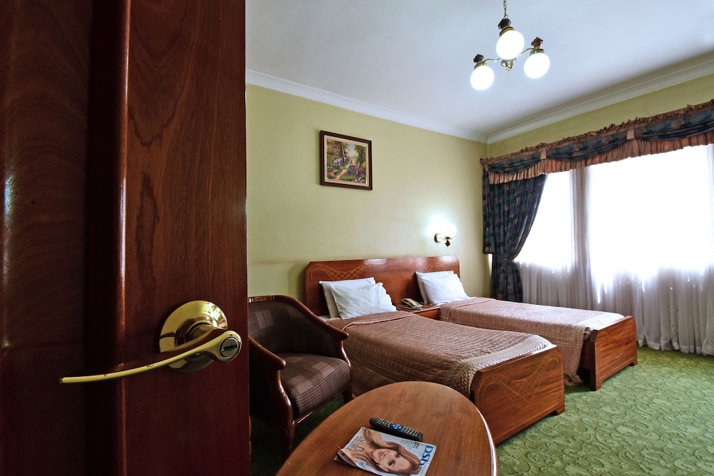 Deluxe Double or Twin Room, City View photo 3