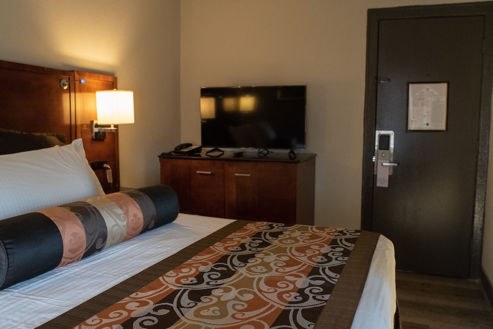 Basic Room, 1 King Bed photo 2