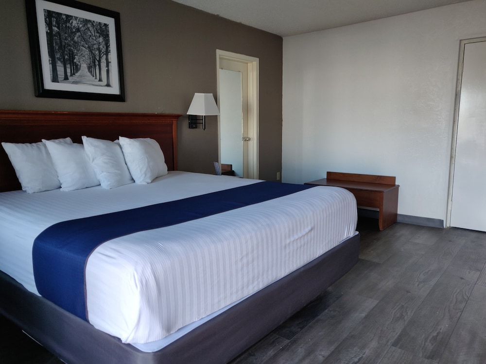 Deluxe Single Room, 1 King Bed, Non Smoking