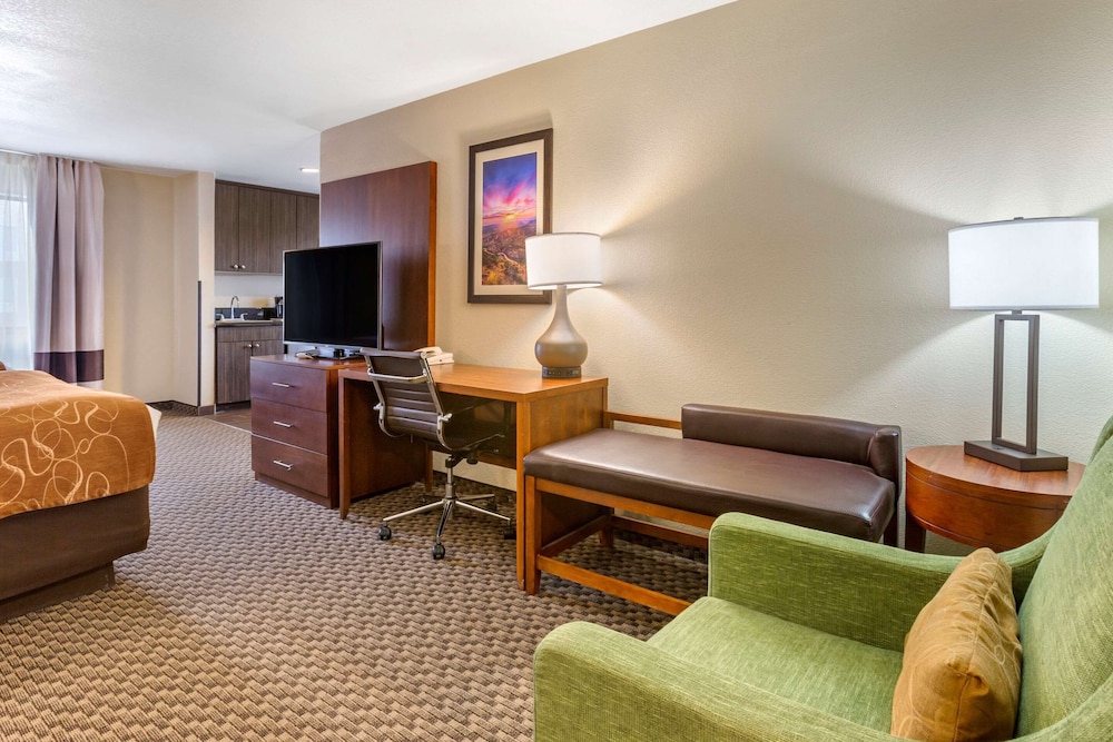 Suite - Photo 2