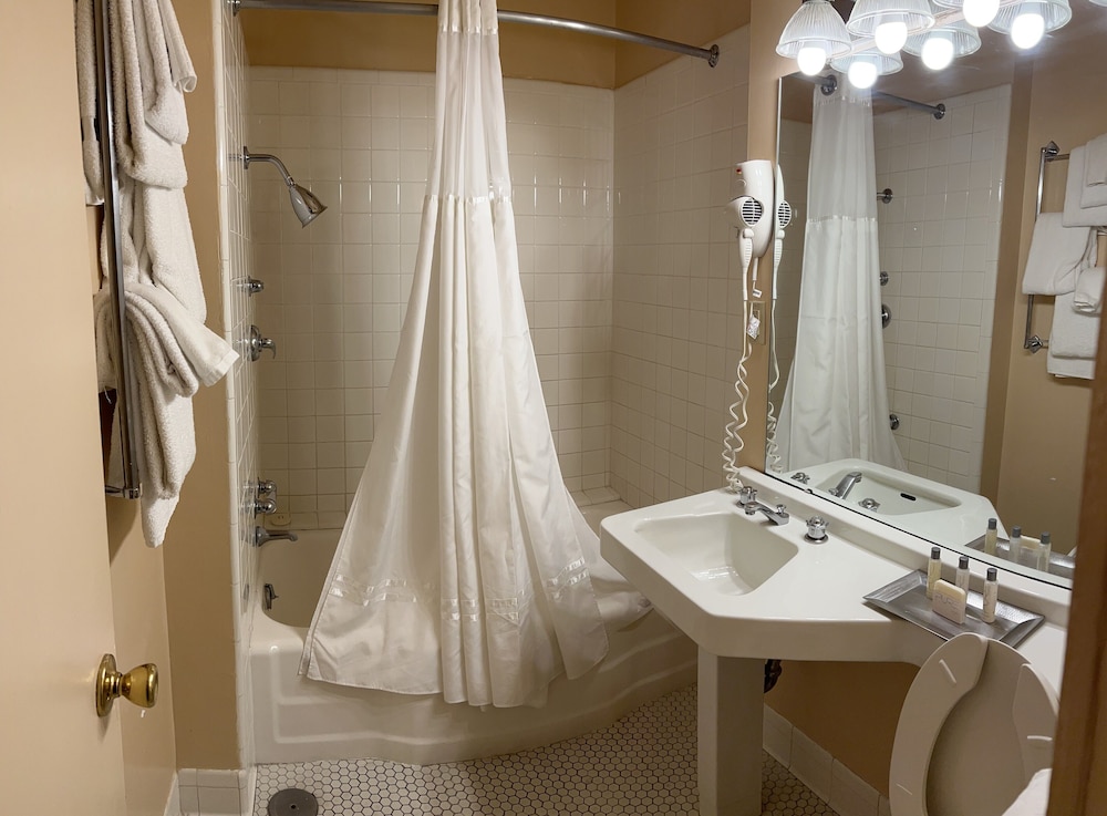 Junior Suite, 2 Double Beds photo 2