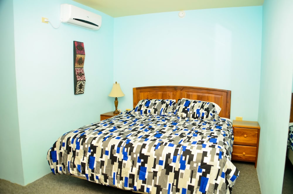 Standard Room, 1 King Bed, Refrigerator & Microwave photo 1