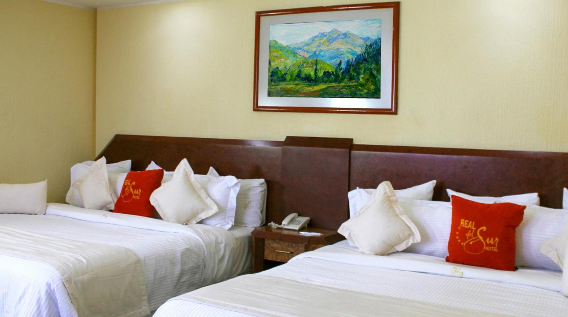 Superior Suite photo 2
