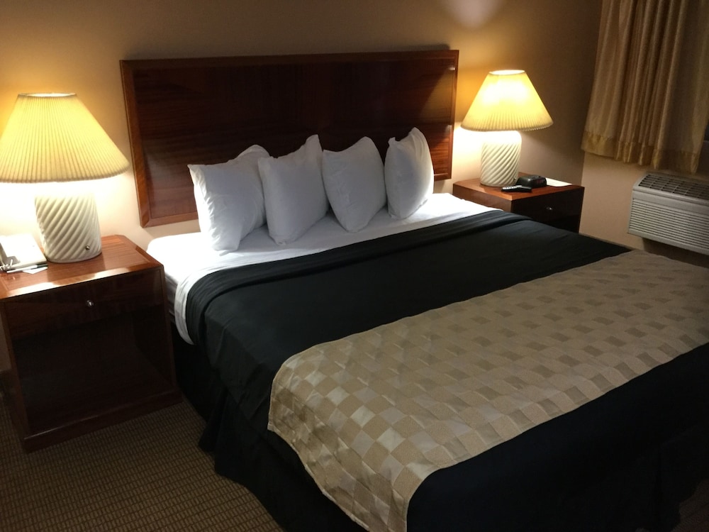 Executive Suite, 1 King Bed, Non Smoking photo 1