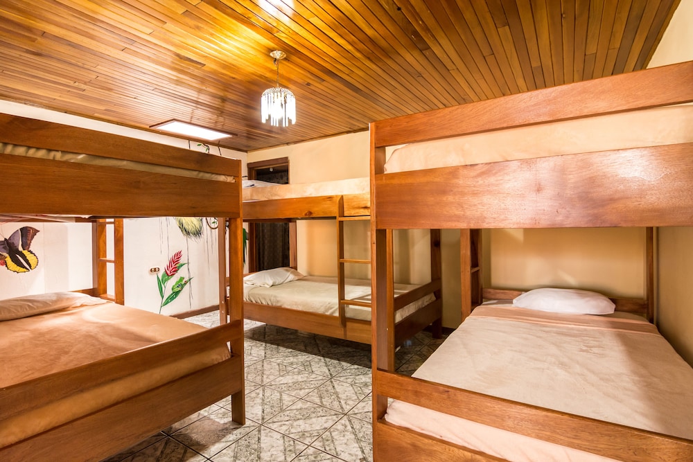 Superior Mehrbettzimmer