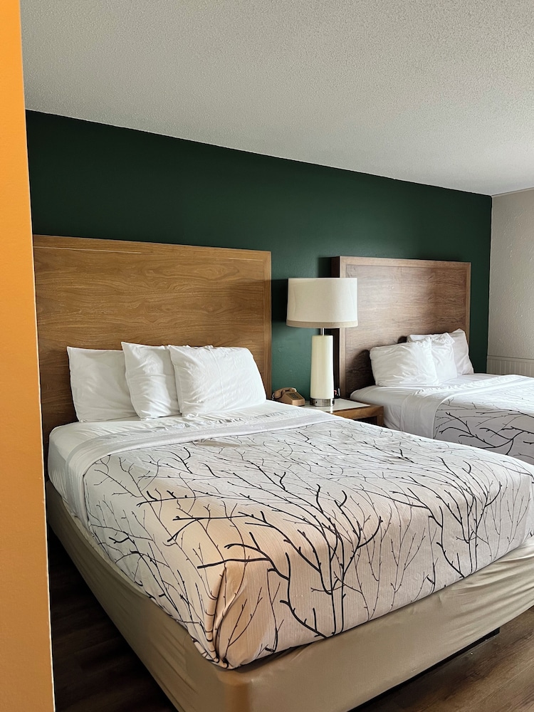 Room, 1 King Bed photo 2