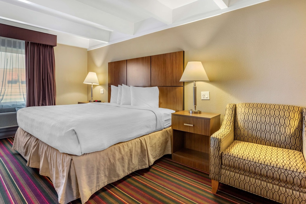Standard Room, 1 King Bed, Accessible, Non Smoking