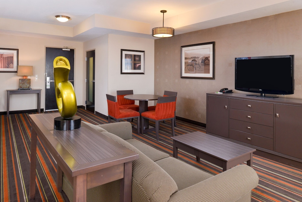 Holiday Inn Amarillo West Medical Center by IHG, Bild 4