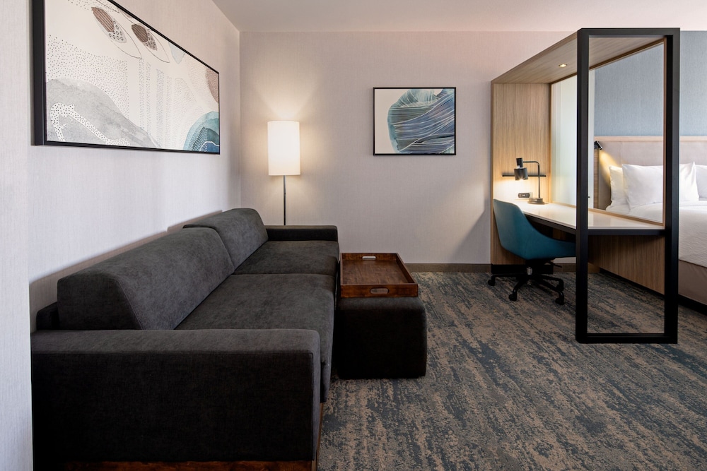 Suite, 1 King Bed - Photo 4