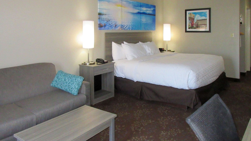 Room, 1 King Bed, Accessible, Non Smoking (Roll-In Shower) - Photo 1