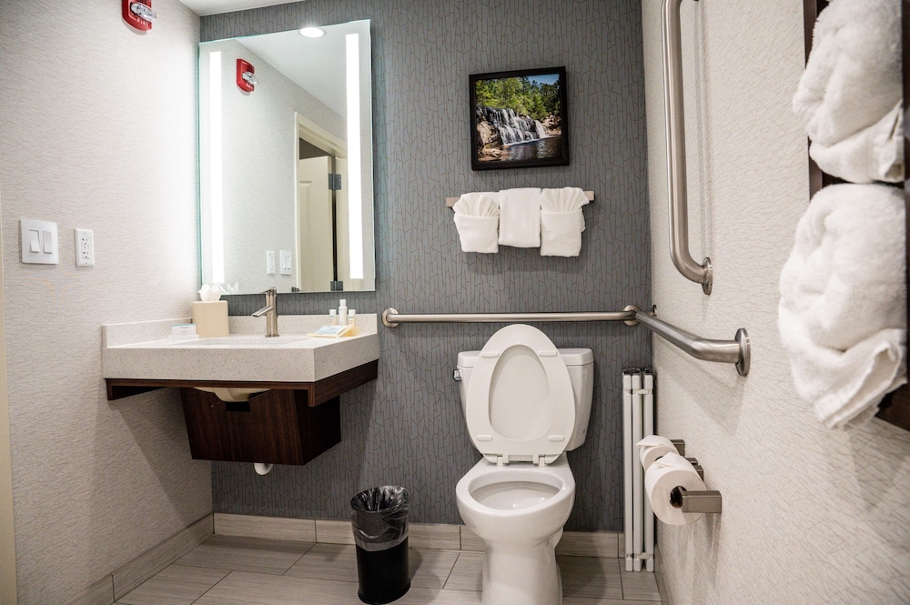 1 King Bed Accessible with Bath Tub - Photo 7