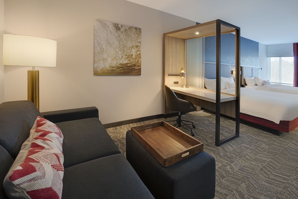 Suite, 1 King Bed photo 3