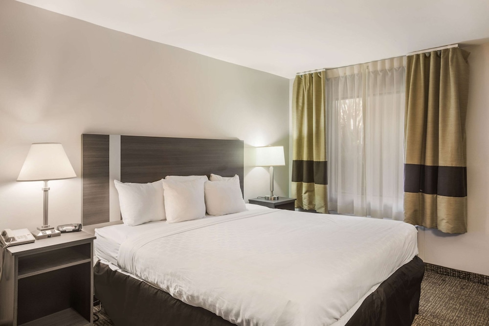Room, 1 King Bed, Accessible, Non Smoking photo 2