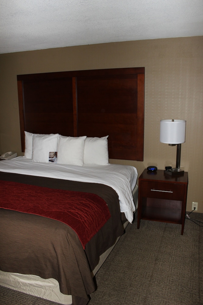 Standard Room, 1 King Bed, Non Smoking, City View photo 2