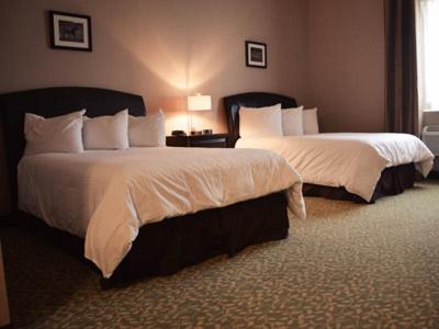 Queen Room - Photo 1