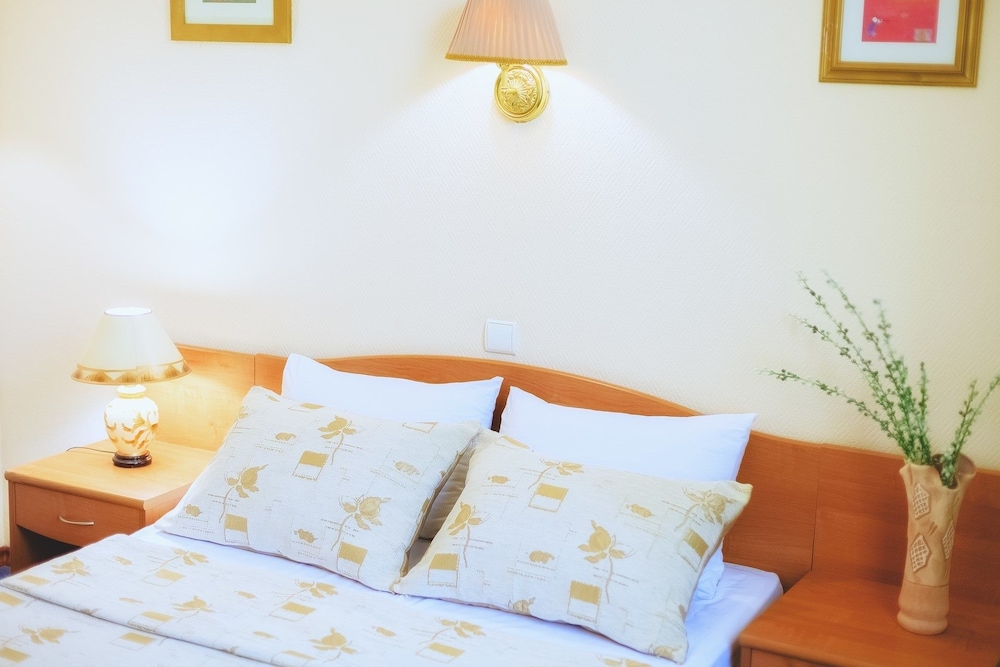 Business Single Room photo 1