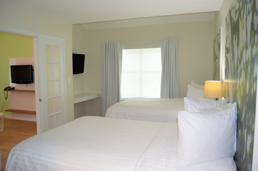 Executive Suite, 1 Bedroom, Kitchen photo 1