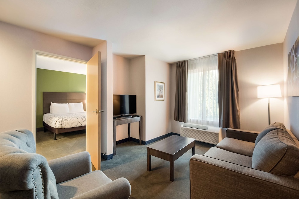 Suite, 2 Queen Beds, Non Smoking, Refrigerator & Microwave (with Sofabed) - Photo 2