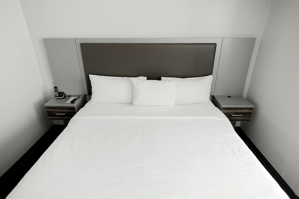 Deluxe Studio Suite photo 3