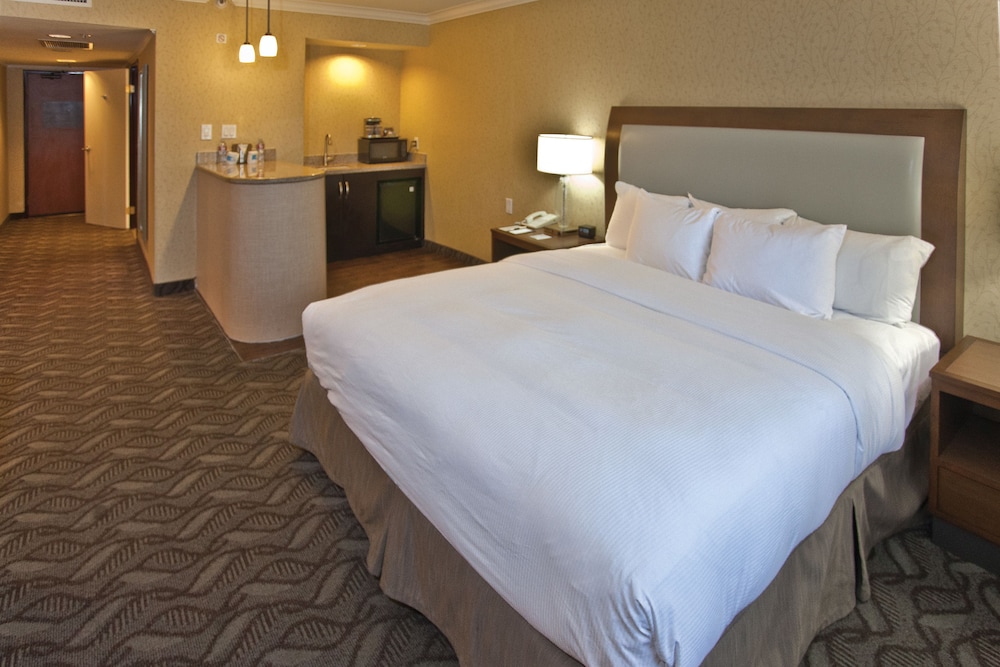 Suite, 1 King Bed, Non Smoking - Photo 4