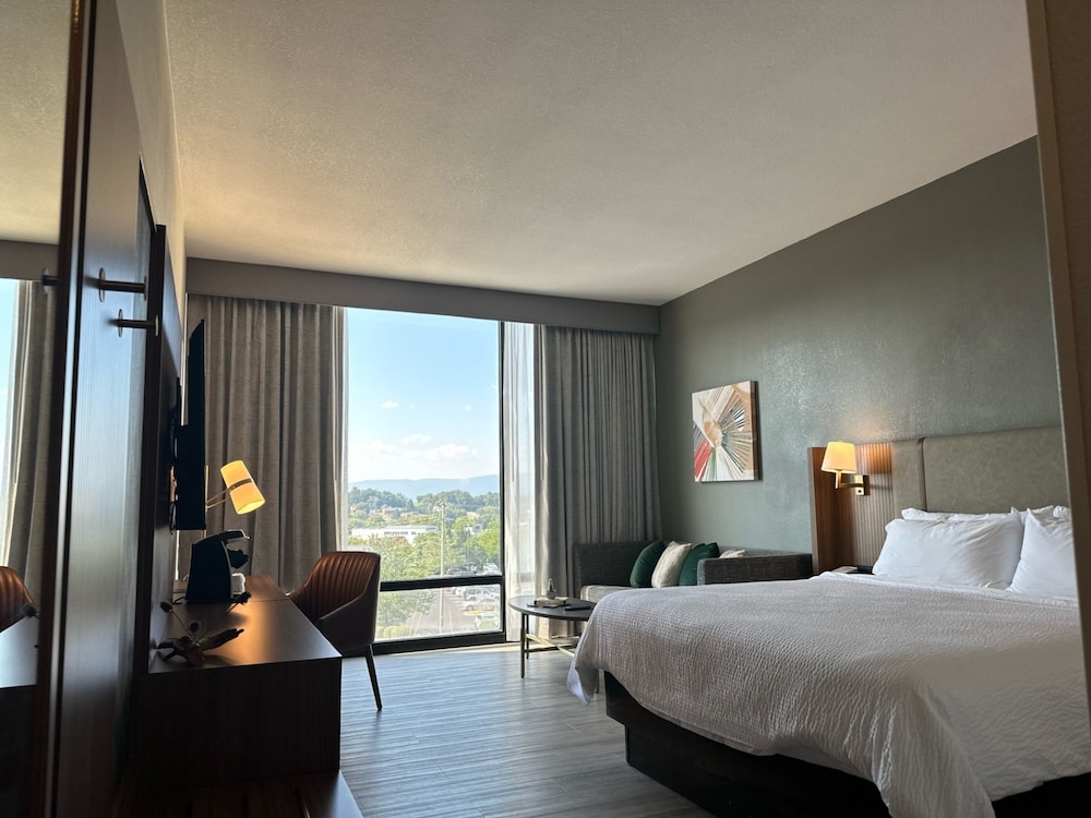 Premium Room, 1 King Bed, Mountain View - Photo 1