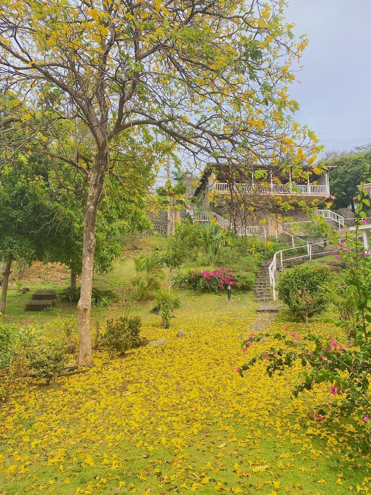 Standard Room, Balcony, Garden View photo 2