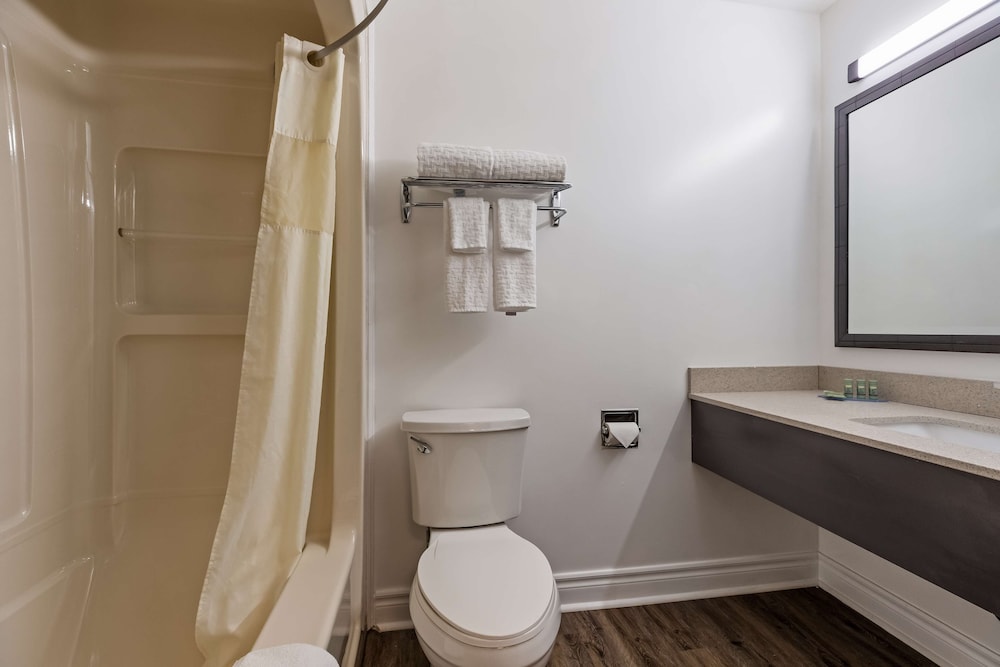 Standard Room, 1 King Bed, Non Smoking, Refrigerator & Microwave - Photo 11