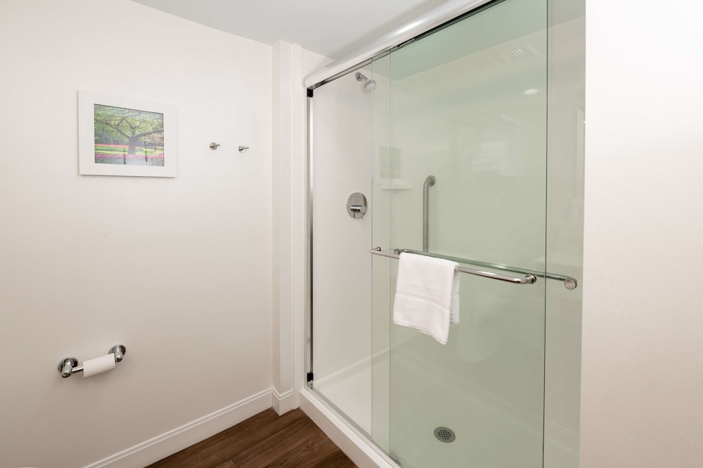 Studio, 1 King Bed, Refrigerator & Microwave (Shower) - Photo 10
