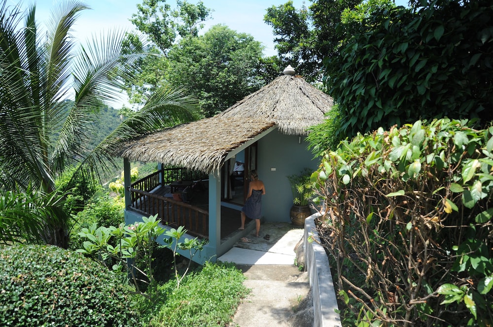 Jungle Lodge