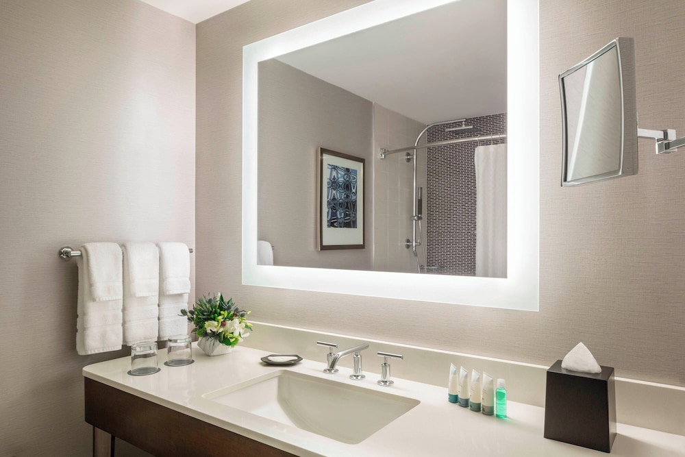 Room, 1 King Bed, Park View (Mobility Accessible, Roll-in Shower) - Photo 9