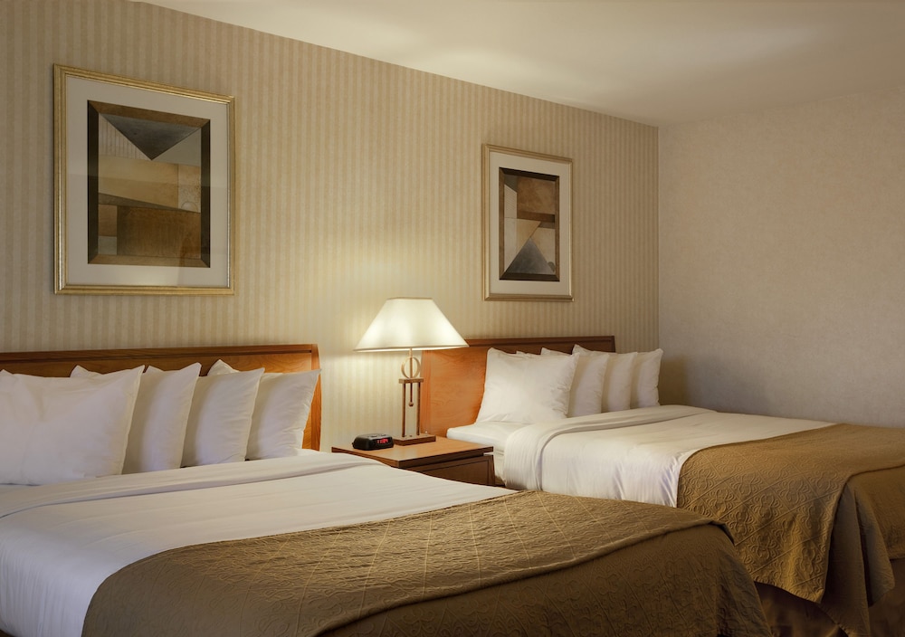 Executive Room, 2 Queen Beds