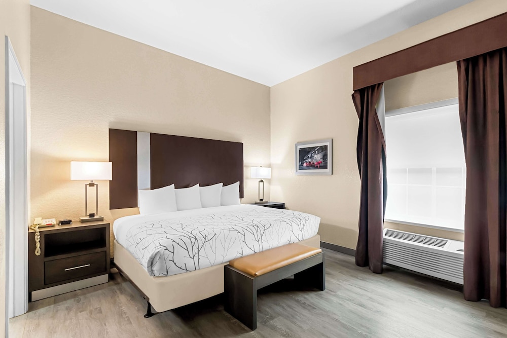 Suite, 1 King Bed, Accessible, Non Smoking (with Sofabed) - Photo 2