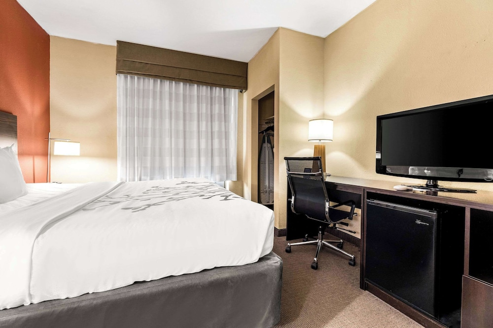 Suite, 1 King Bed with Sofa bed, Accessible, Non Smoking photo 2