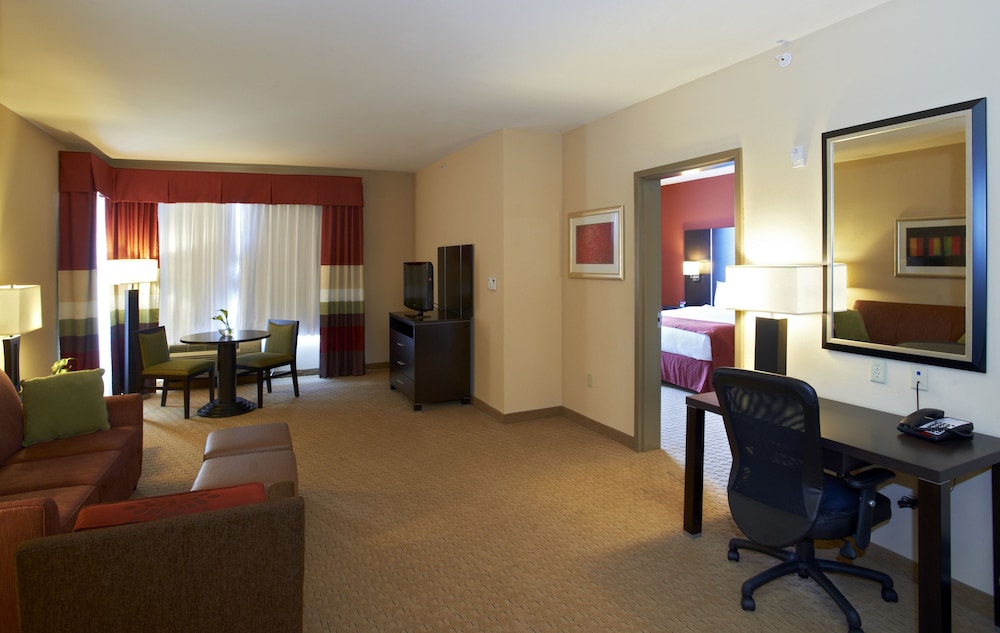 Suite, 1 Bedroom, Accessible (Communications) - Photo 5