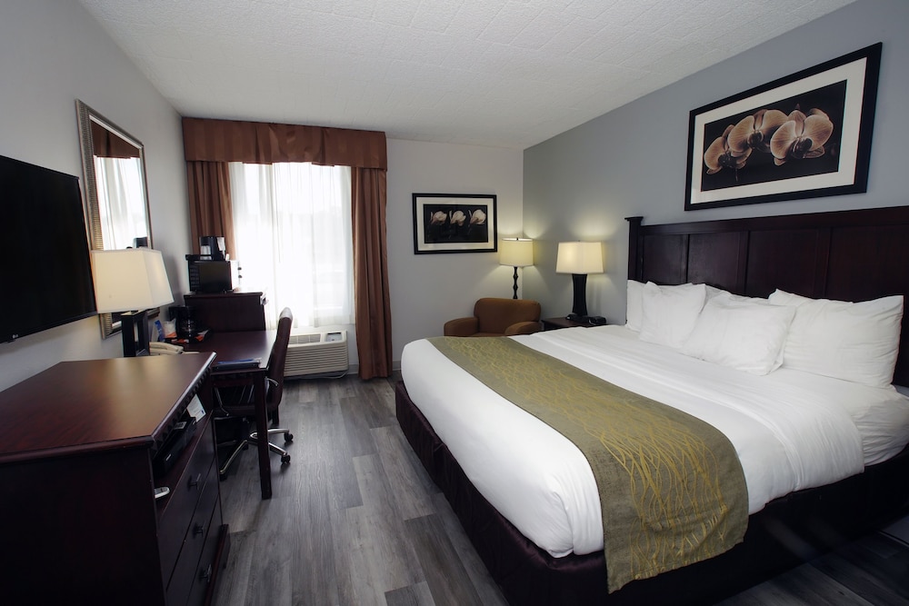 Standard Room, 1 King Bed, Non Smoking, Jetted Tub - Photo 5