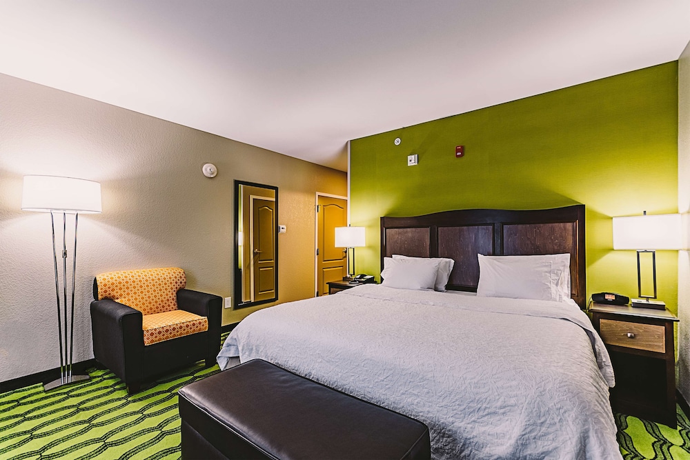 Room, 1 King Bed, Accessible, Non Smoking photo 3