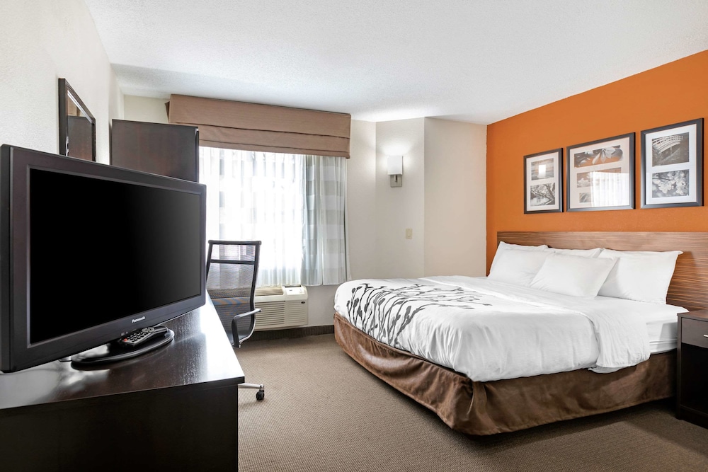 Standard Room, 1 King Bed, Non Smoking - Photo 9