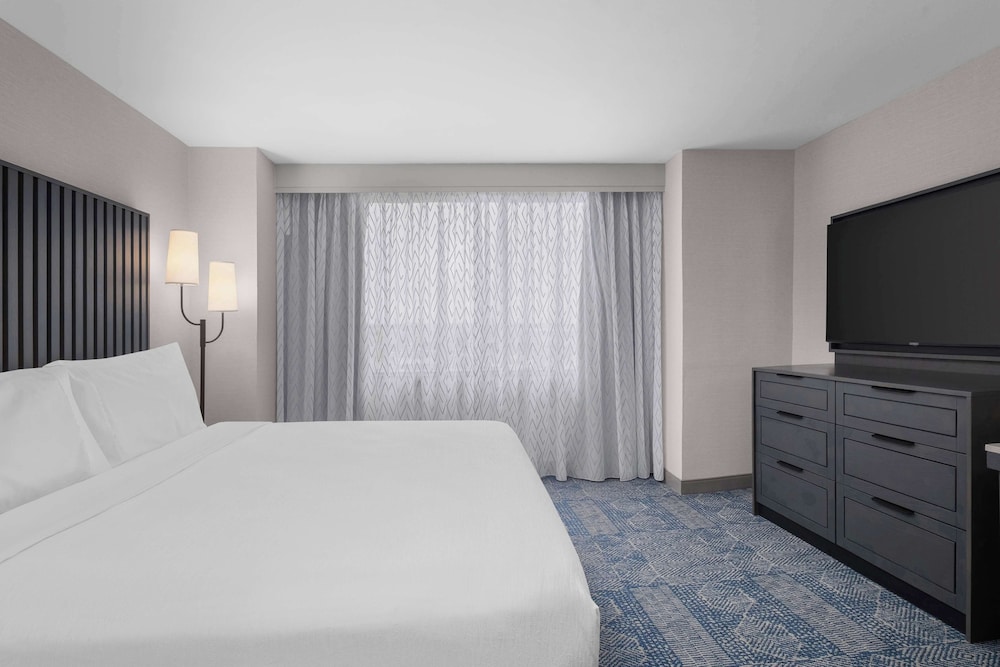 Room, 1 King Bed, Non Smoking photo 1