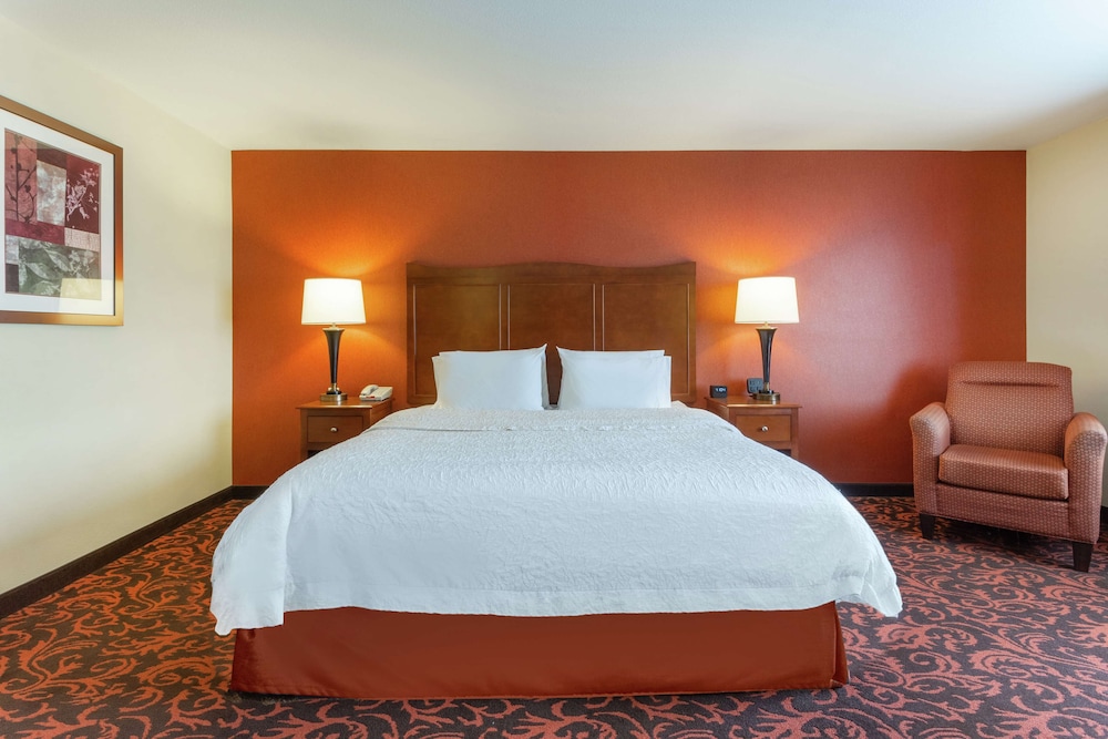 Room, 1 King Bed, Accessible, Non Smoking photo 2