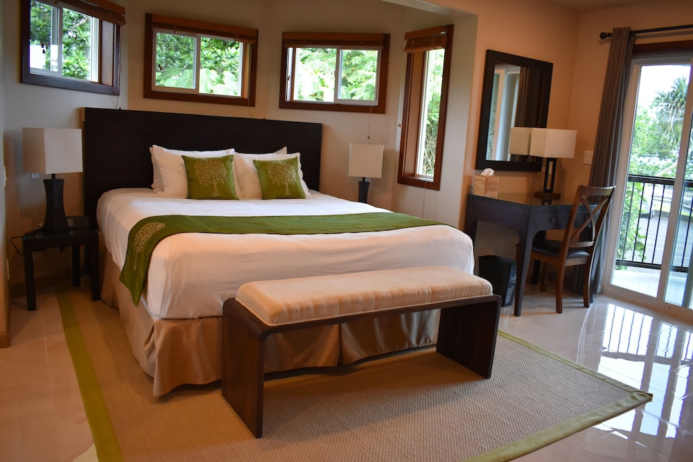 Luxury Studio Suite, 1 King Bed, Beach View, Oceanfront Orchid photo 1
