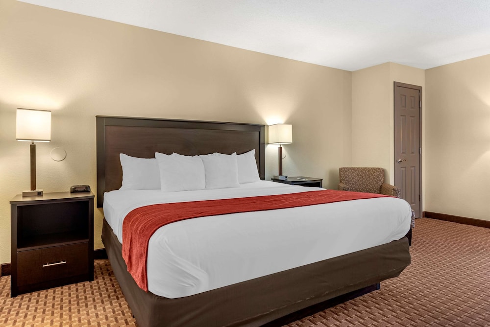 Standard Room, 1 King Bed, Non Smoking - Photo 5