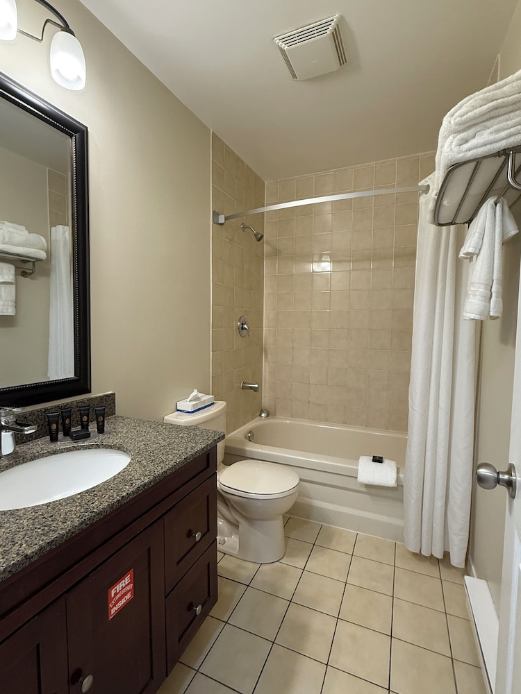 Superior Suite, 1 Queen Bed photo 3