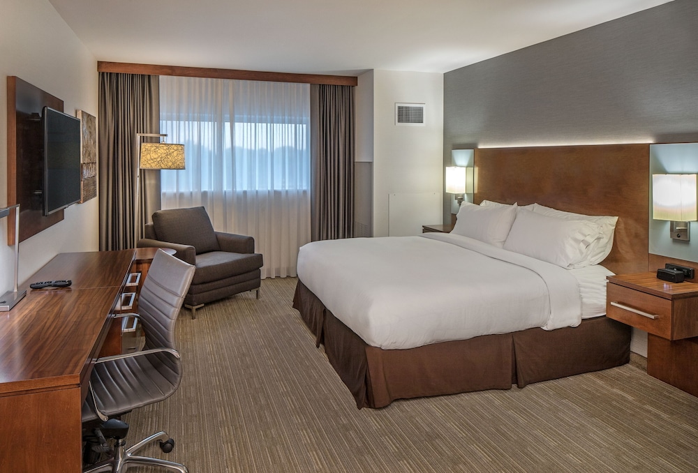 Room, 1 King Bed, Accessible - Photo 5