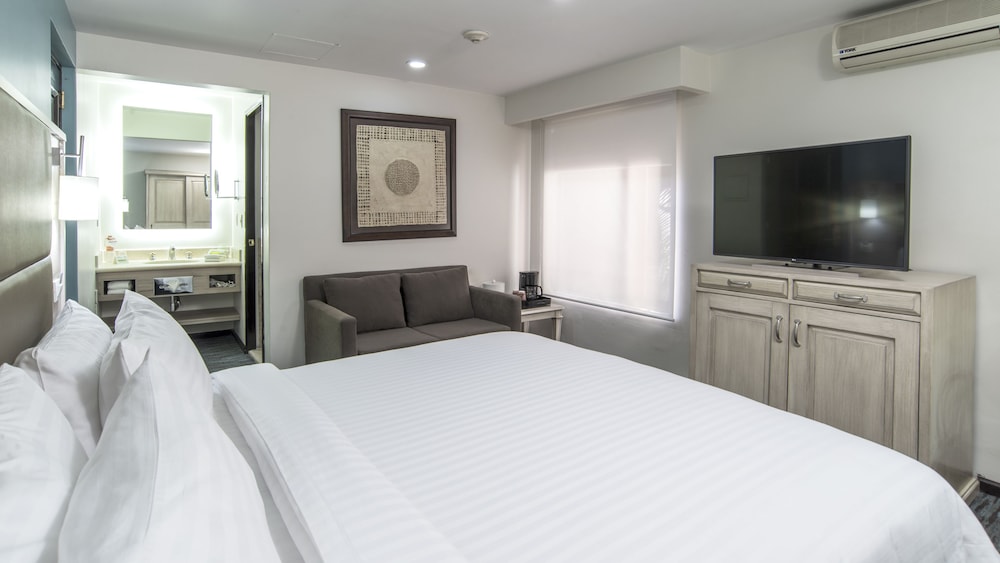 Suite, 1 King Bed - Photo 11