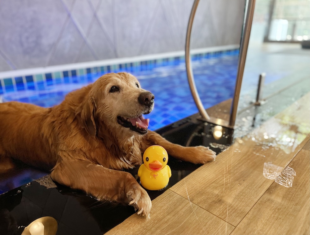 Pet-Friendly Pool Villa Family - Photo 14