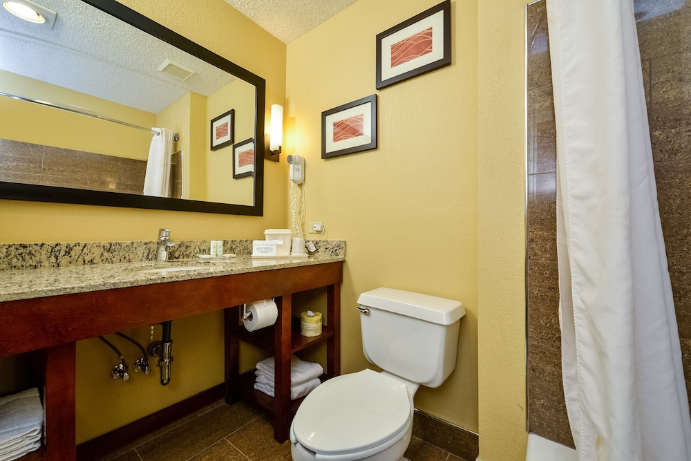Suite, 1 Queen Bed, Accessible, Non Smoking (Efficiency) - Photo 6
