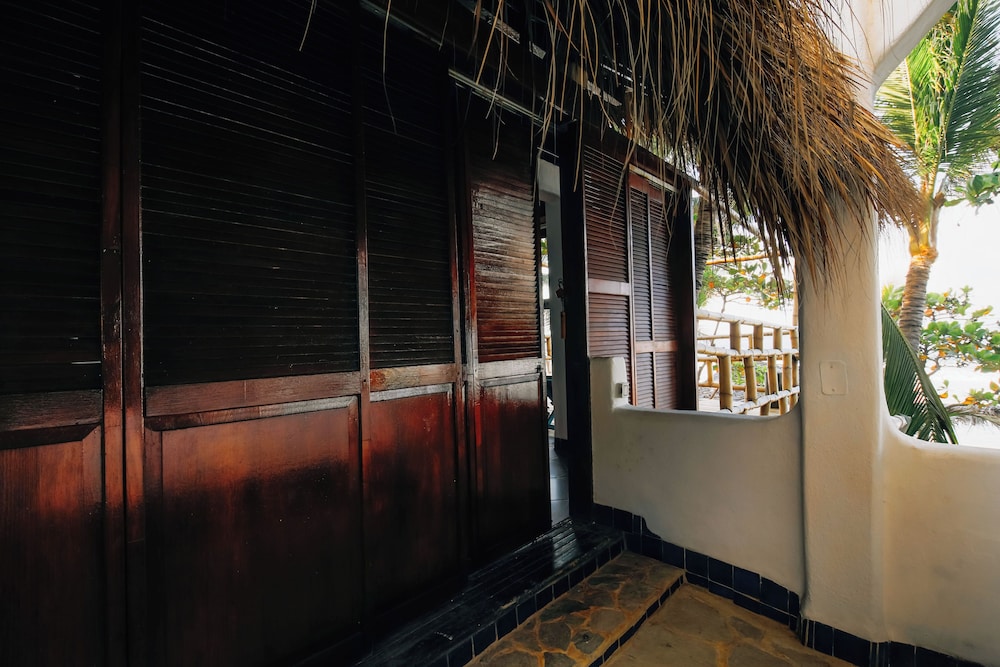 Palapa - Photo 12
